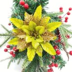 Multicolor Poinsettias