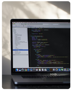 Digital development services by Modevo Design